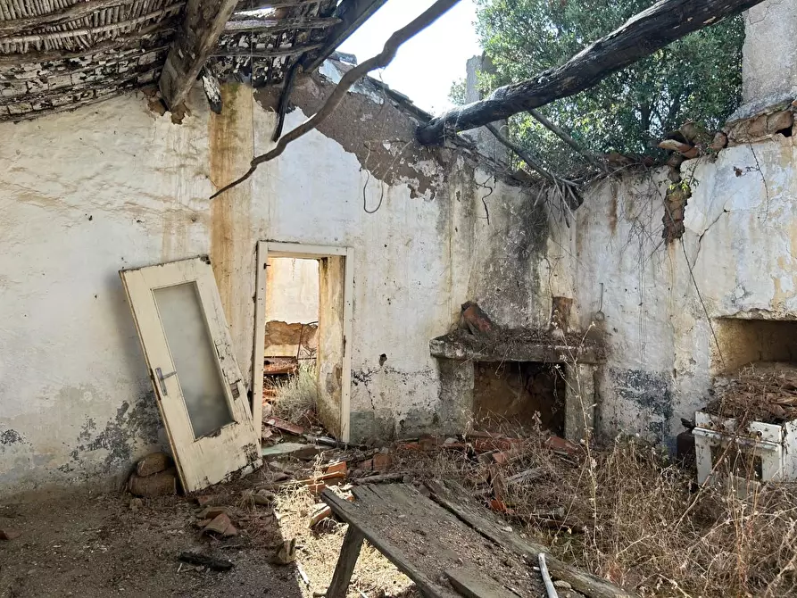 Immagine 3 di Casa colonica in vendita  a Luogosanto