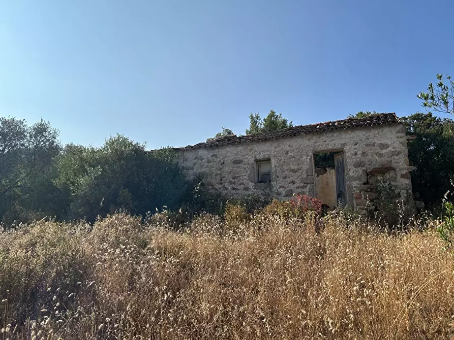 Immagine 2 di Casa colonica in vendita  a Luogosanto
