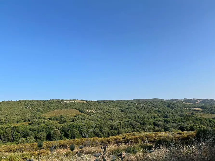 Immagine 51 di Casa colonica in vendita  a Luogosanto