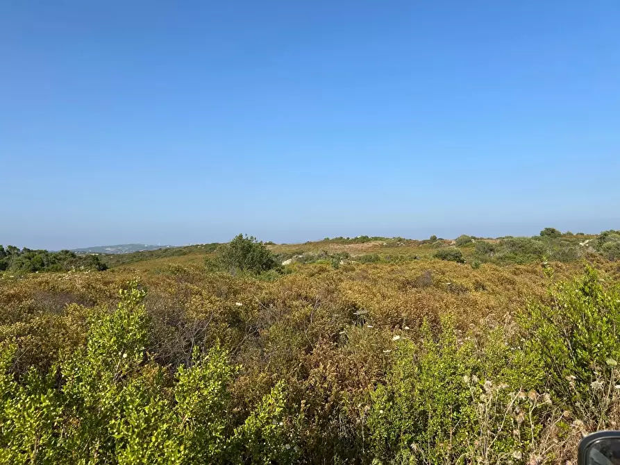 Immagine 44 di Casa colonica in vendita  a Luogosanto