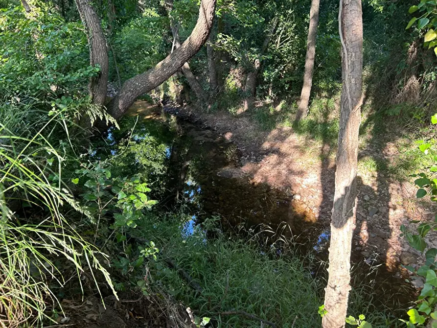 Immagine 14 di Casa colonica in vendita  a Luogosanto