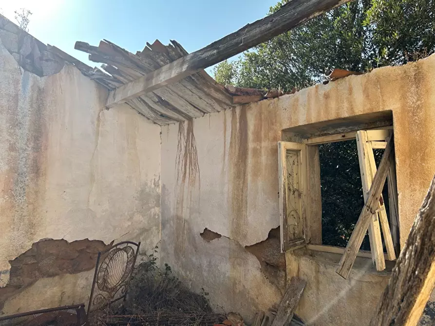 Immagine 4 di Casa colonica in vendita  a Luogosanto