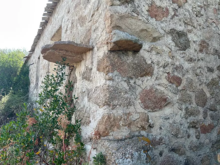 Immagine 11 di Casa colonica in vendita  a Luogosanto