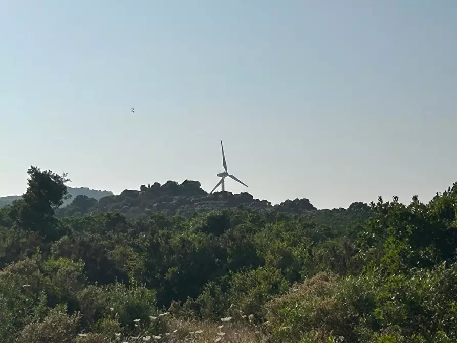 Immagine 29 di Casa colonica in vendita  a Luogosanto