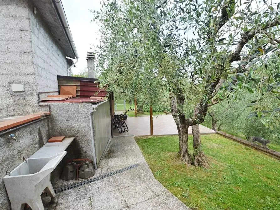 Immagine 4 di Terratetto in vendita  a Capannori