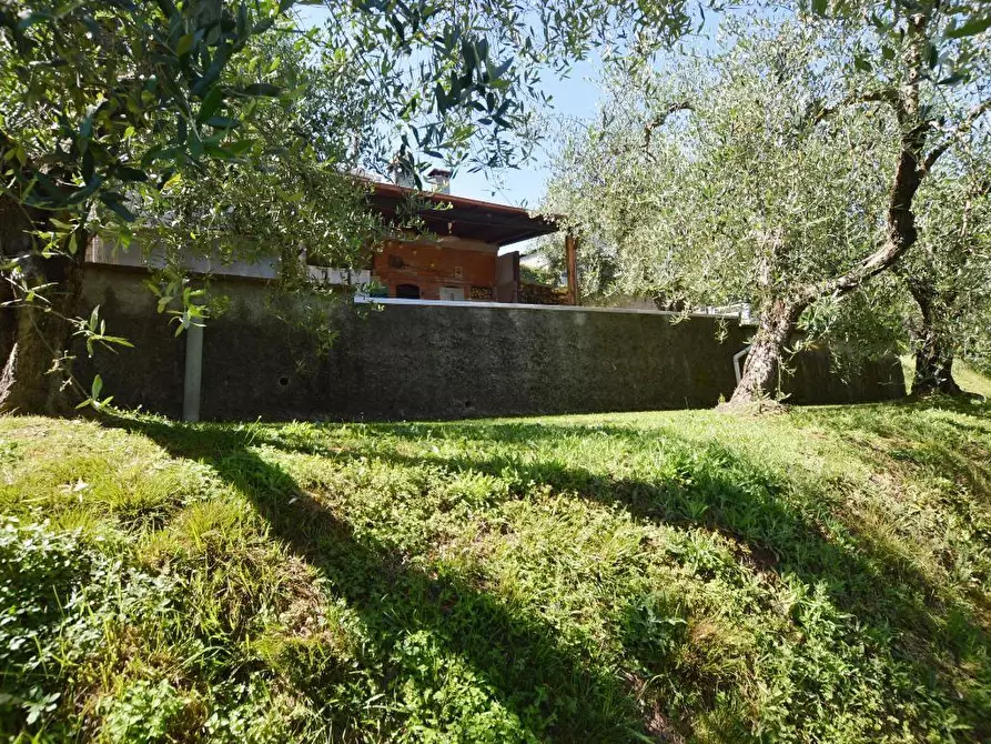 Immagine 8 di Terratetto in vendita  a Capannori