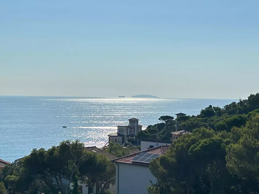 immagine annuncio 0 di 15