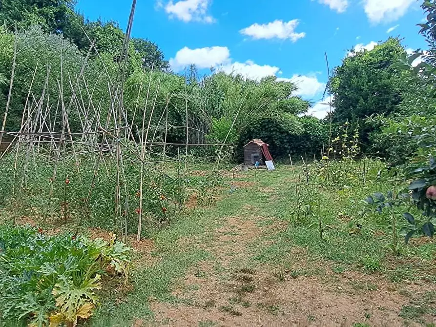 Immagine 35 di Villetta a schiera in vendita  a Casciana Terme Lari