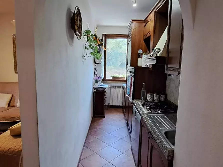 Immagine 19 di Villetta a schiera in vendita  a Casciana Terme Lari