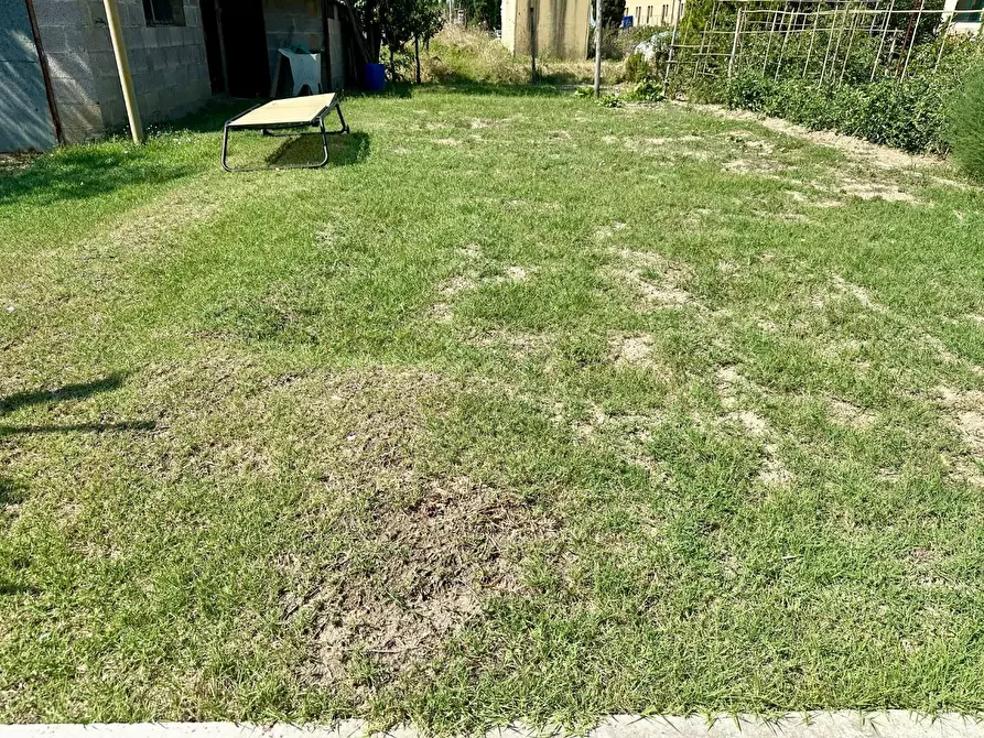 Immagine 21 di Appartamento in vendita  a Asciano