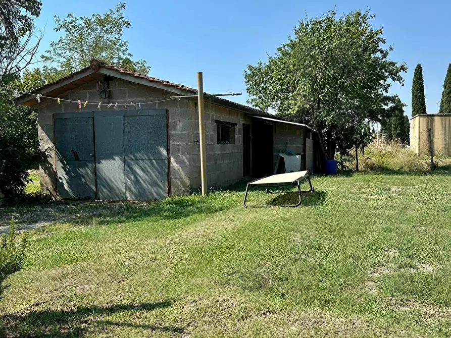 Immagine 22 di Appartamento in vendita  a Asciano