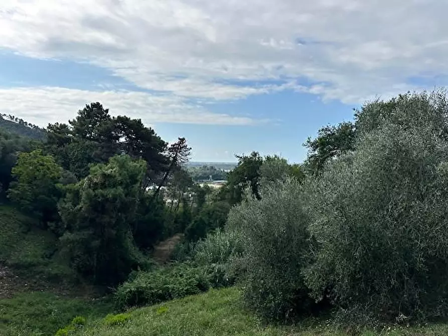 Immagine 10 di Casa colonica in vendita  a Camaiore
