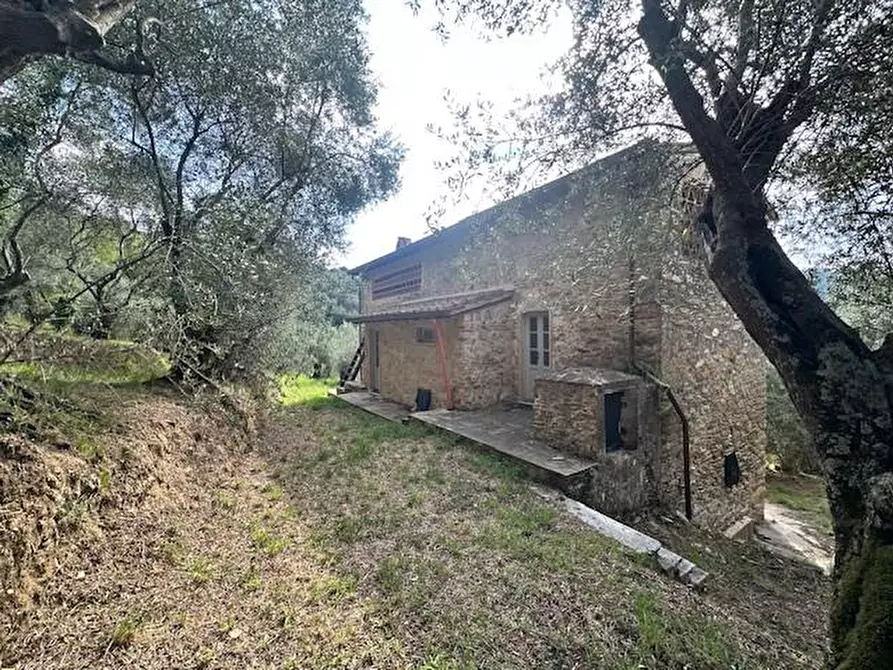Immagine 32 di Casa colonica in vendita  a Camaiore