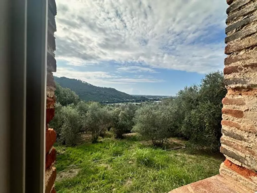 Immagine 22 di Casa colonica in vendita  a Camaiore