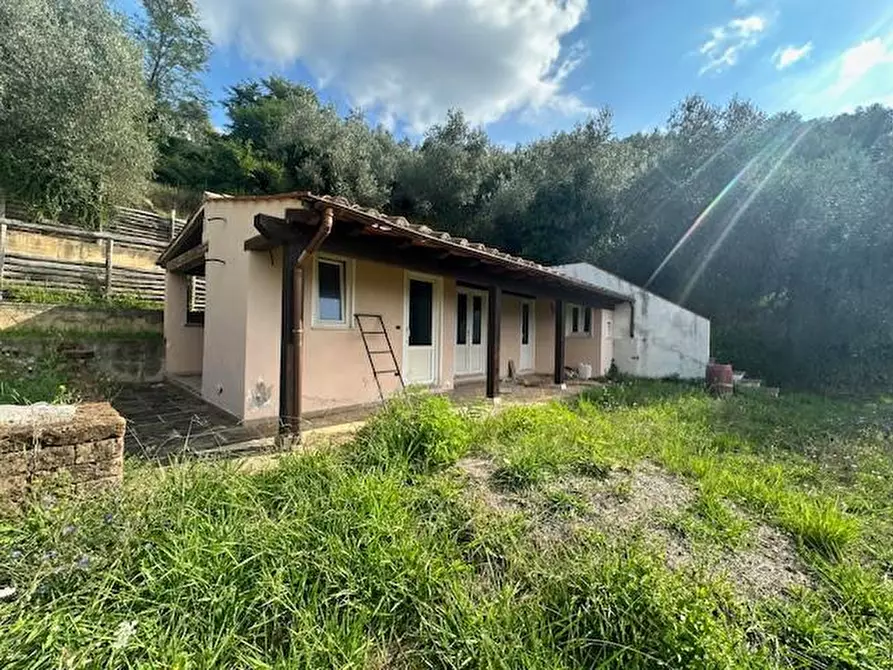 Immagine 8 di Casa colonica in vendita  a Camaiore