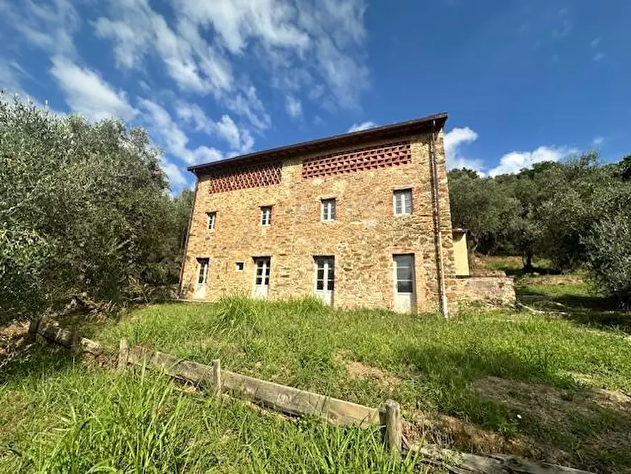 Immagine 38 di Casa colonica in vendita  a Camaiore
