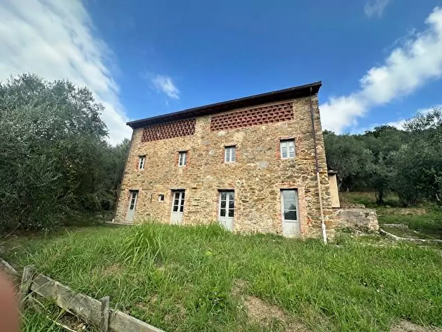 Immagine 3 di Casa colonica in vendita  a Camaiore