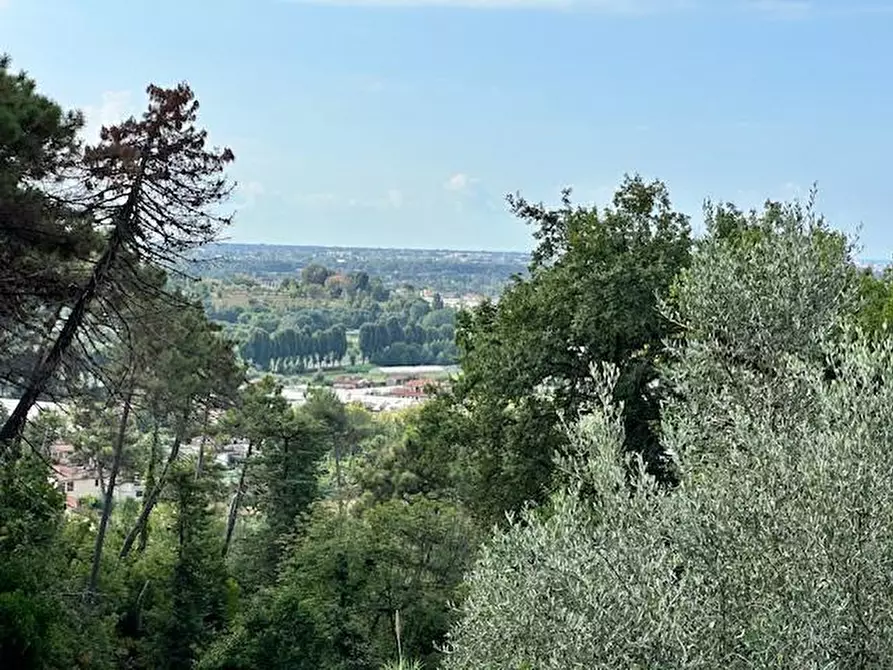 Immagine 4 di Casa colonica in vendita  a Camaiore