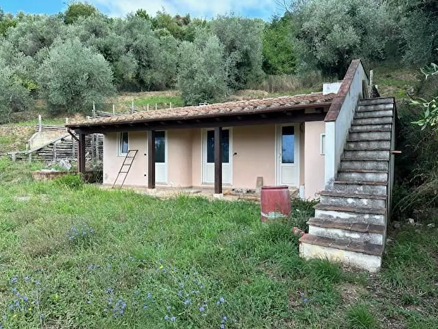Immagine 2 di Casa colonica in vendita  a Camaiore