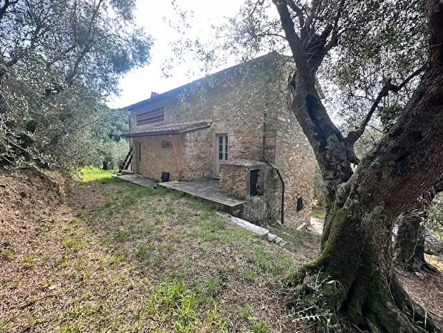 Immagine 33 di Casa colonica in vendita  a Camaiore