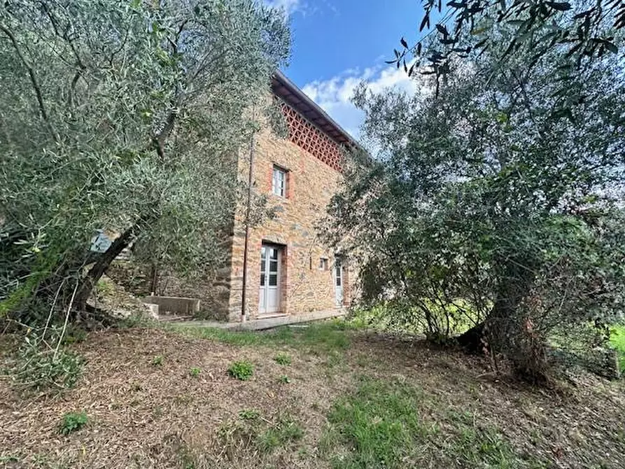 Immagine 11 di Casa colonica in vendita  a Camaiore