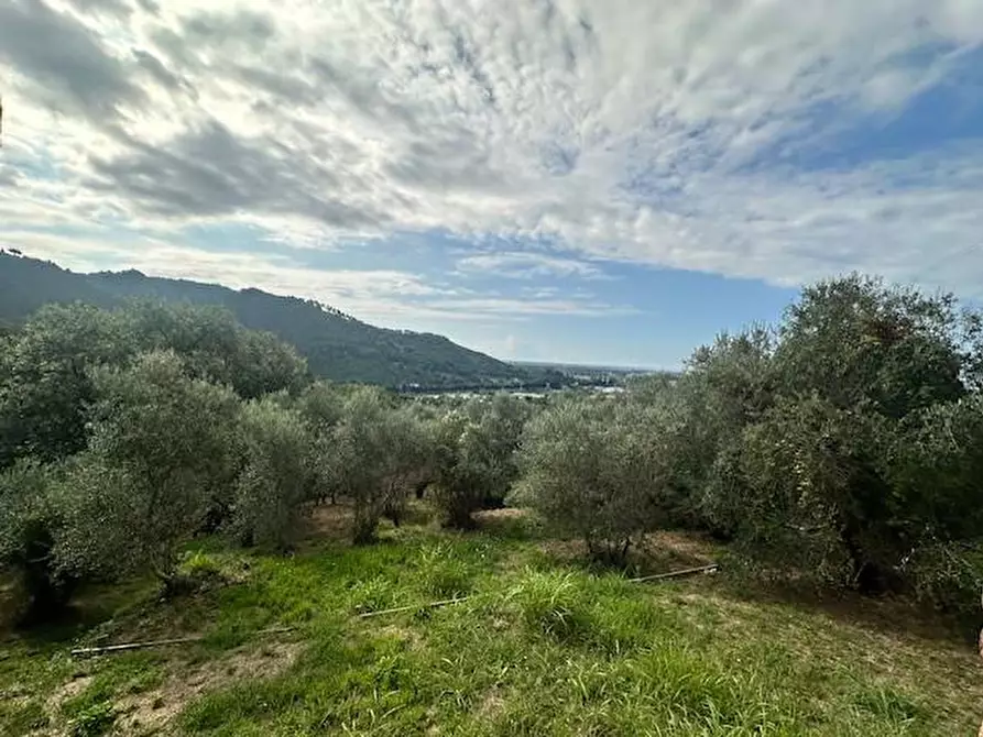 Immagine 23 di Casa colonica in vendita  a Camaiore