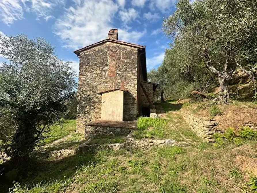 Immagine 35 di Casa colonica in vendita  a Camaiore
