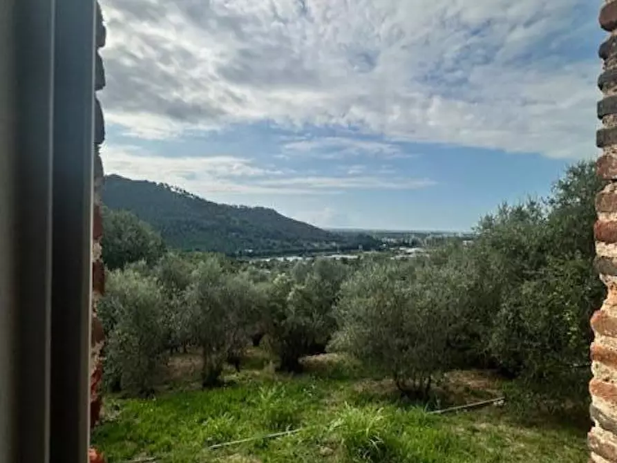 Immagine 24 di Casa colonica in vendita  a Camaiore