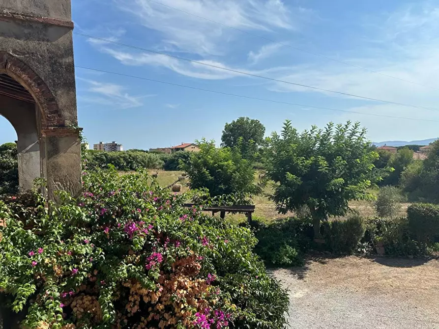 appartamento in affitto a Campiglia Marittima in zona Venturina