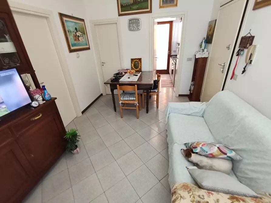 Immagine 17 di Appartamento in vendita  a Lucca