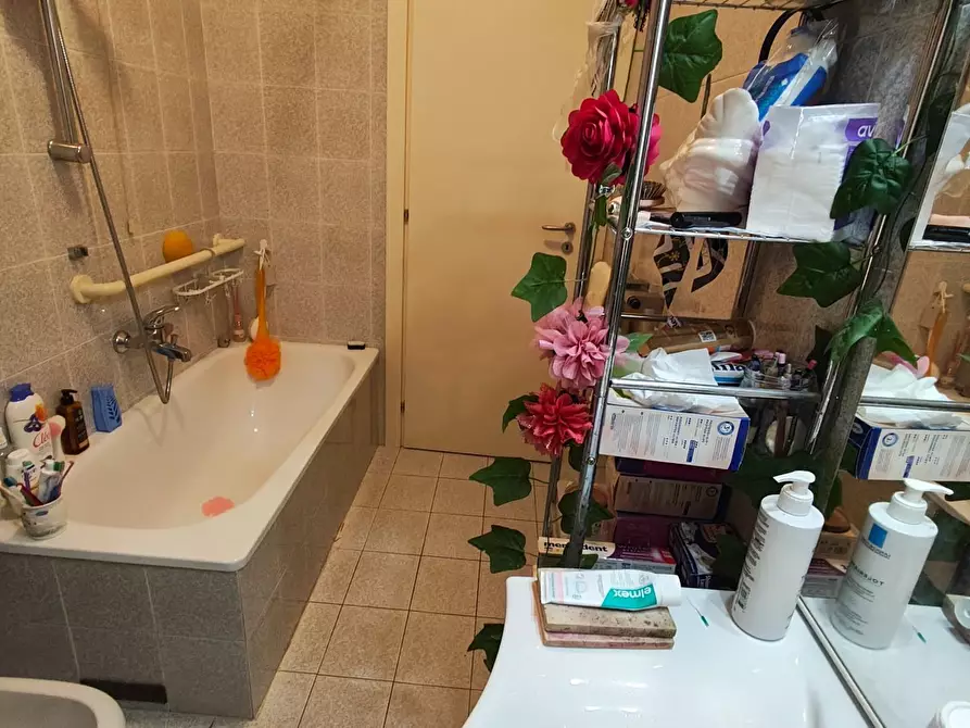 Immagine 10 di Appartamento in vendita  a Lucca