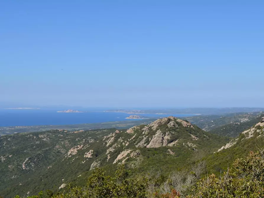 Immagine 18 di Casa colonica in vendita  a Aglientu