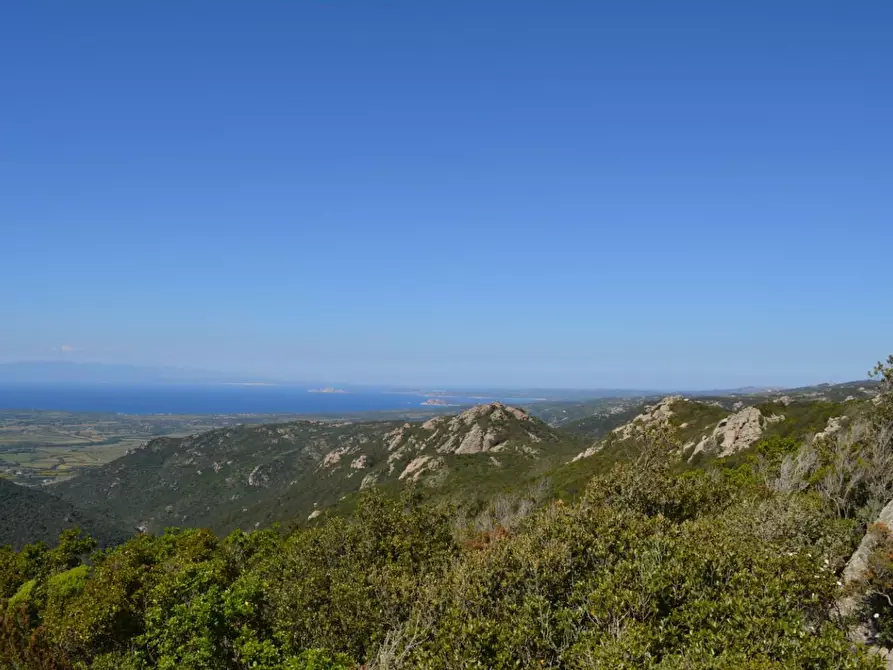Immagine 17 di Casa colonica in vendita  a Aglientu