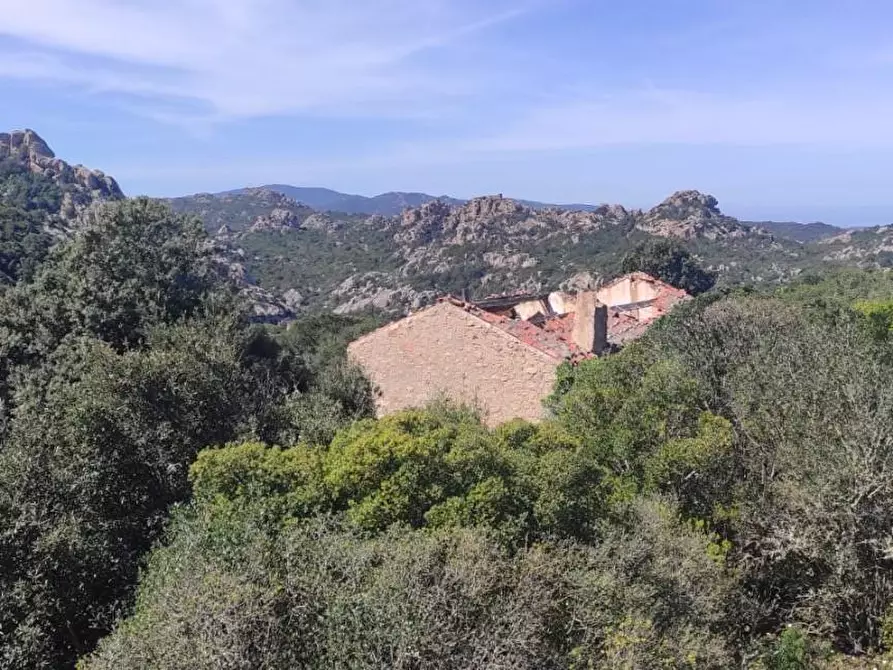 Immagine 2 di Casa colonica in vendita  a Trinità D'agultu E Vignola
