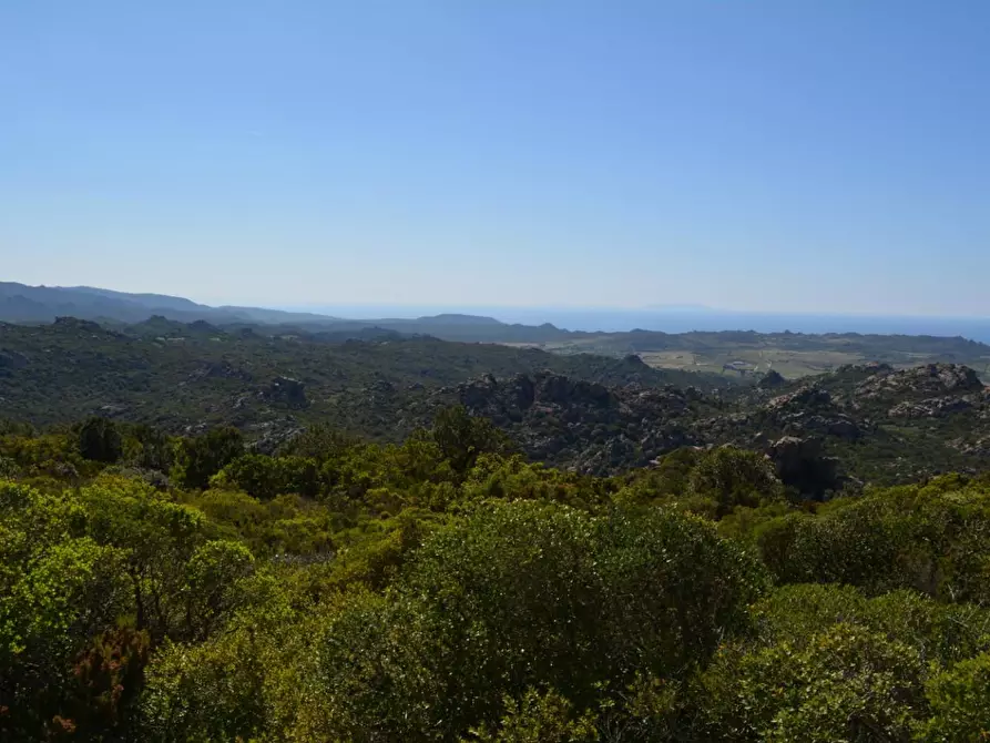 Immagine 6 di Casa colonica in vendita  a Aglientu