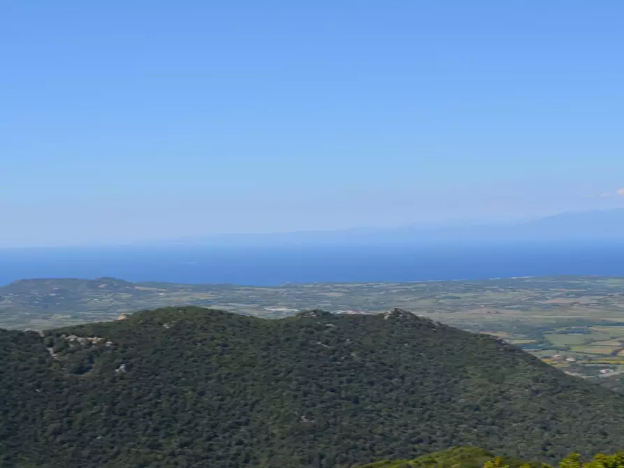 Immagine 21 di Casa colonica in vendita  a Aglientu