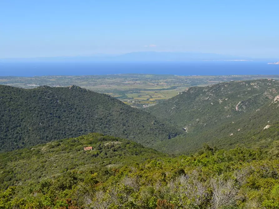 Immagine 36 di Casa colonica in vendita  a Aglientu