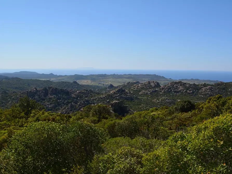 Immagine 7 di Casa colonica in vendita  a Aglientu