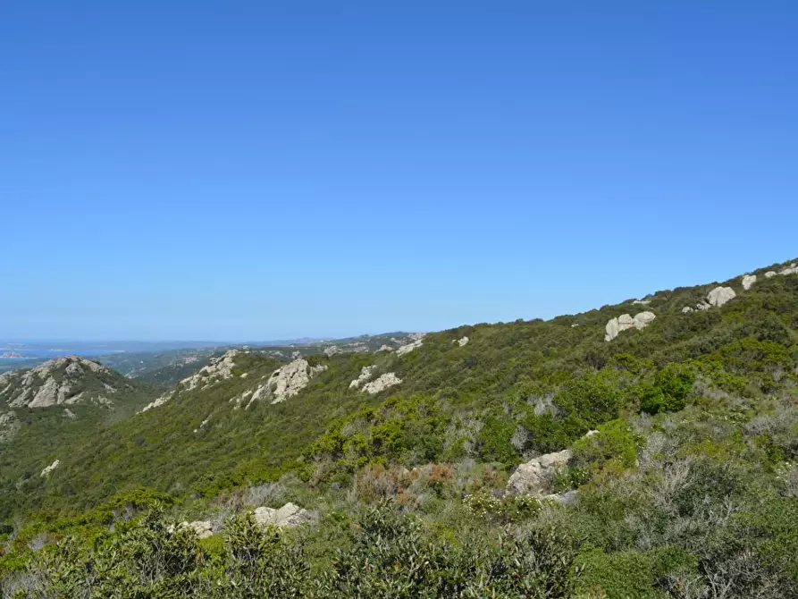 Immagine 33 di Casa colonica in vendita  a Aglientu