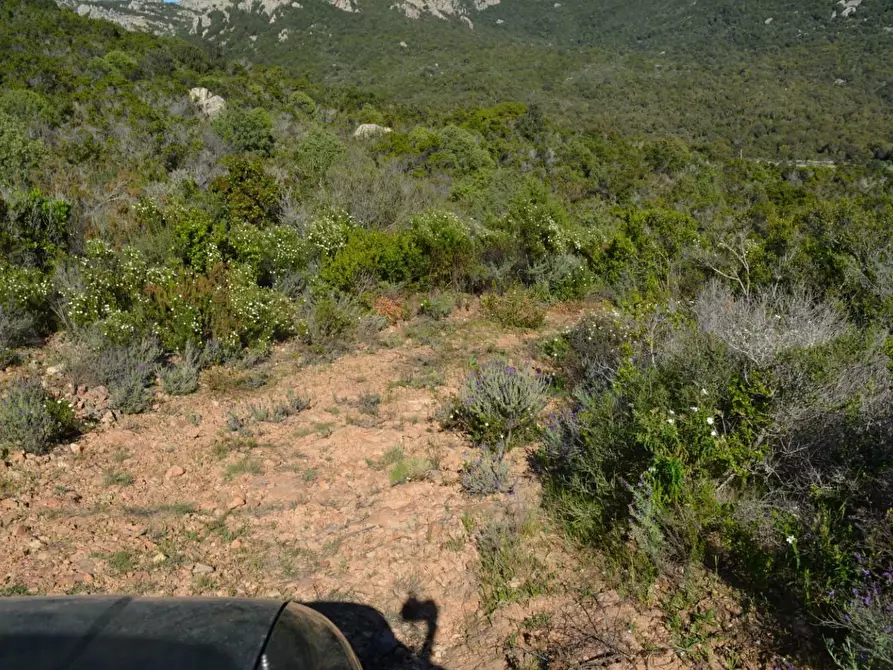 Immagine 70 di Casa colonica in vendita  a Aglientu