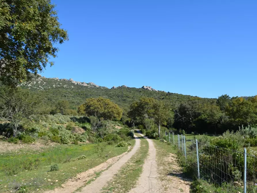 Immagine 80 di Casa colonica in vendita  a Aglientu