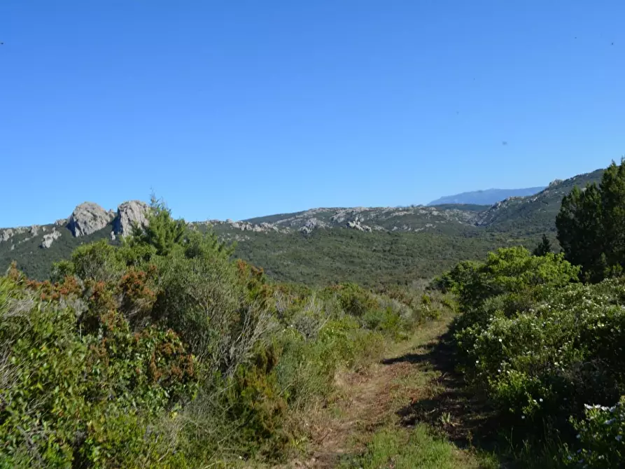 Immagine 65 di Casa colonica in vendita  a Aglientu