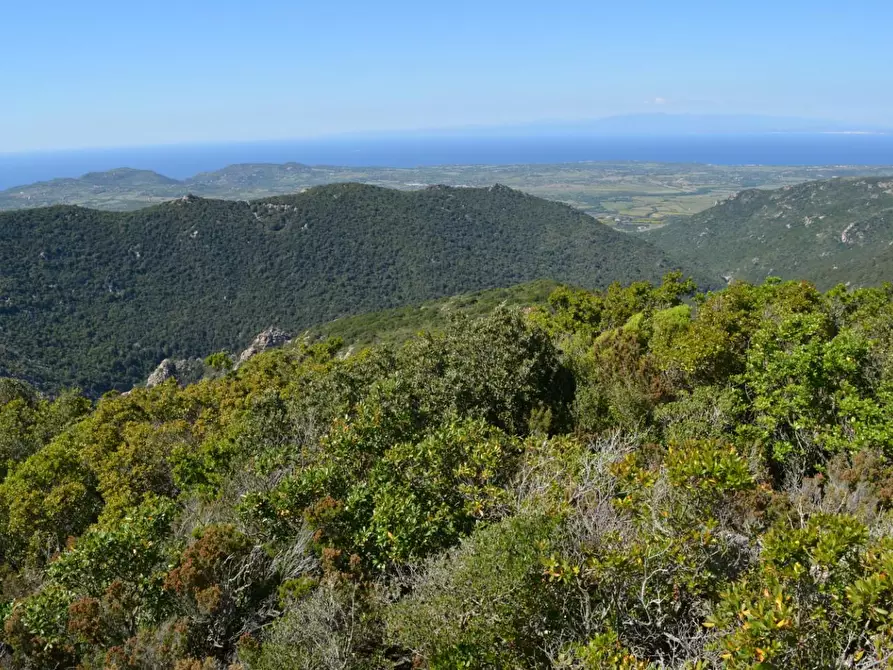 Immagine 28 di Casa colonica in vendita  a Aglientu