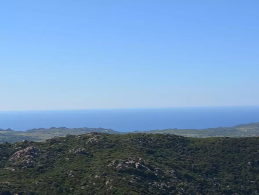 Immagine 24 di Casa colonica in vendita  a Aglientu