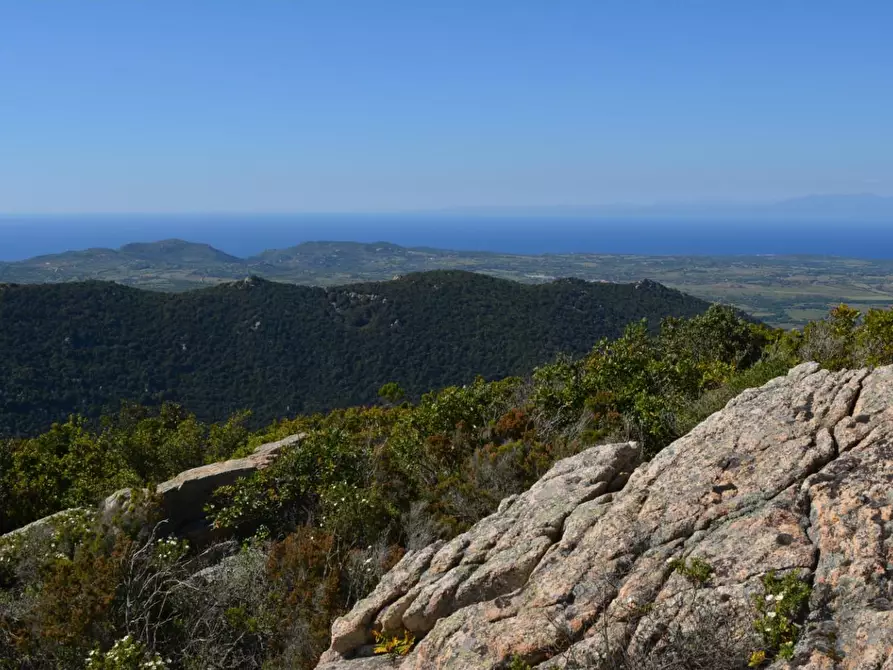 Immagine 50 di Casa colonica in vendita  a Aglientu