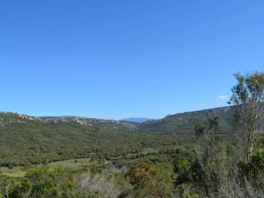Immagine 73 di Casa colonica in vendita  a Aglientu