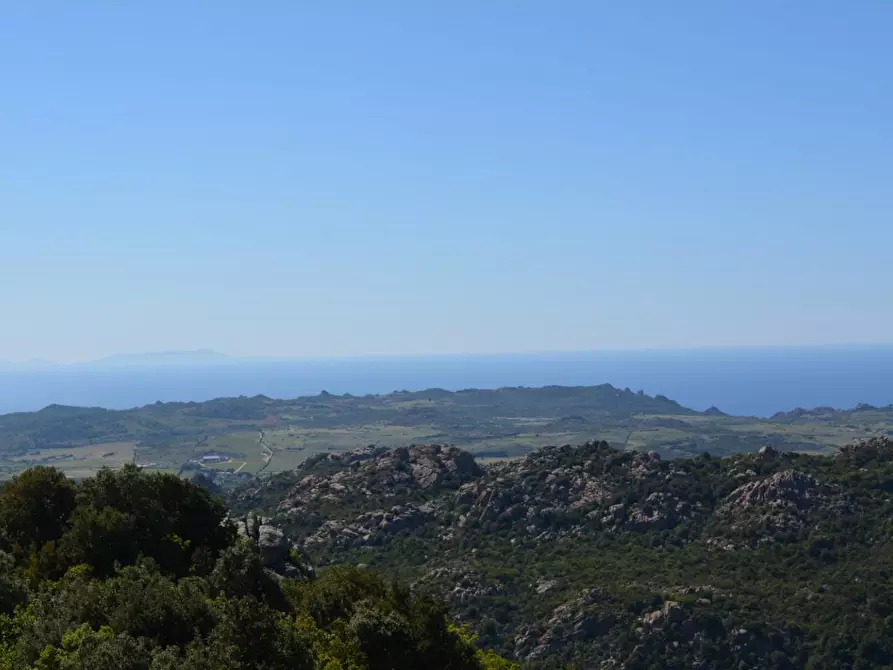 Immagine 25 di Casa colonica in vendita  a Aglientu