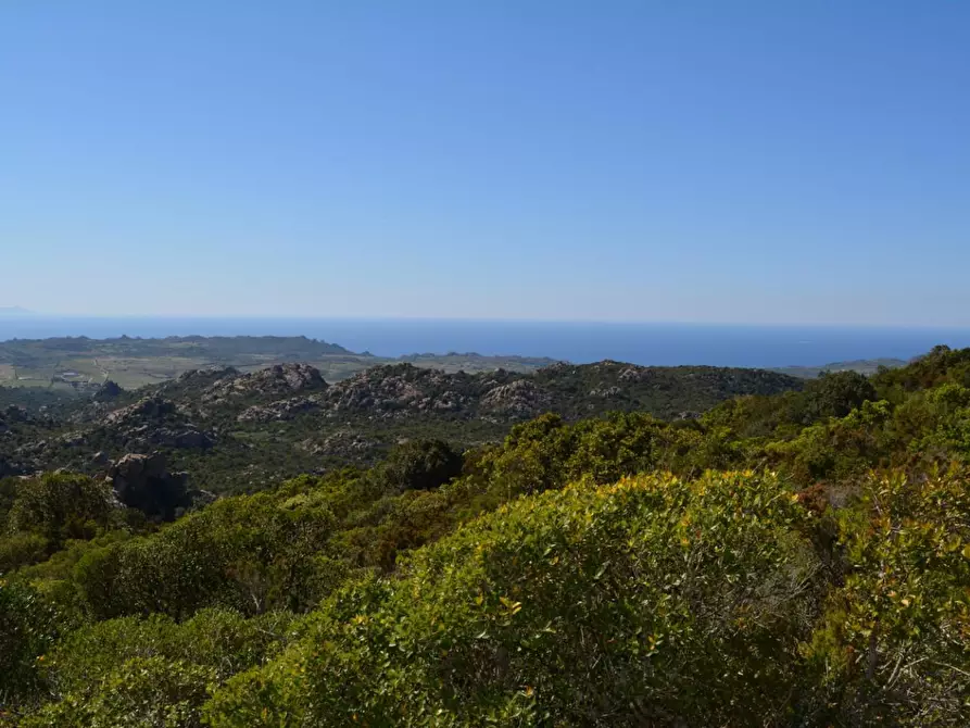 Immagine 8 di Casa colonica in vendita  a Aglientu