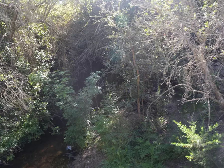 Immagine 81 di Casa colonica in vendita  a Aglientu