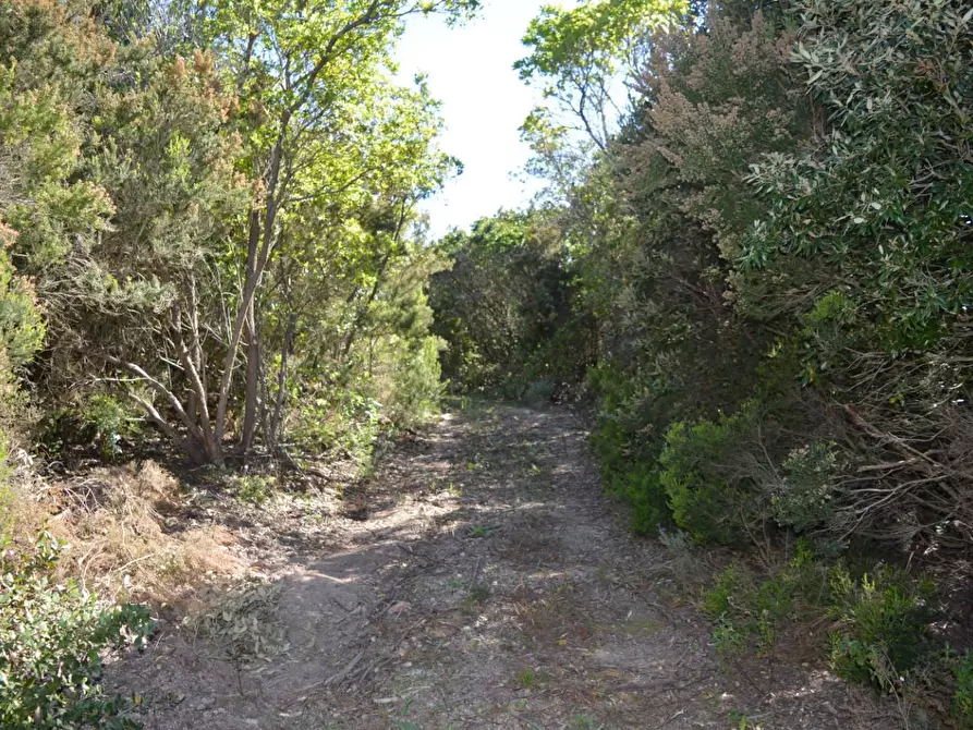 Immagine 56 di Casa colonica in vendita  a Aglientu